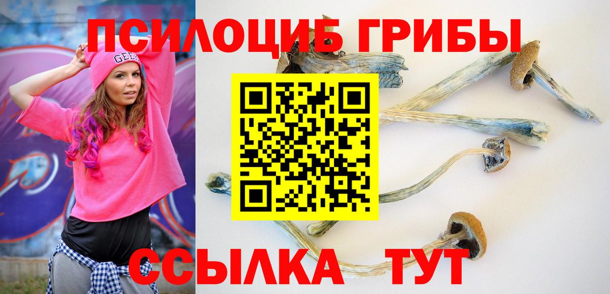 Псилоцибиновые грибы прущие грибы Миллерово