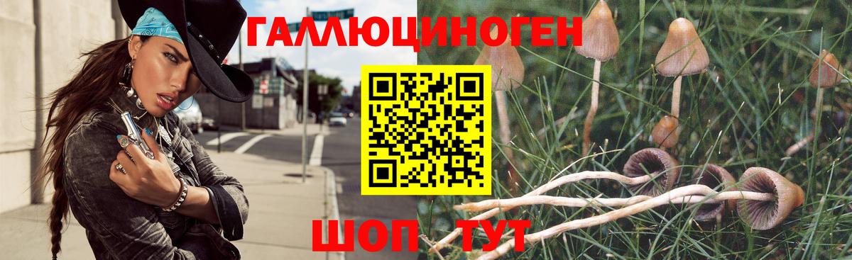 Галлюциногенные грибы Psilocybe  Вход с VPN  Миллерово 
